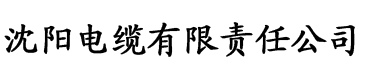 黄动漫车车好快的车车APP电缆厂logo